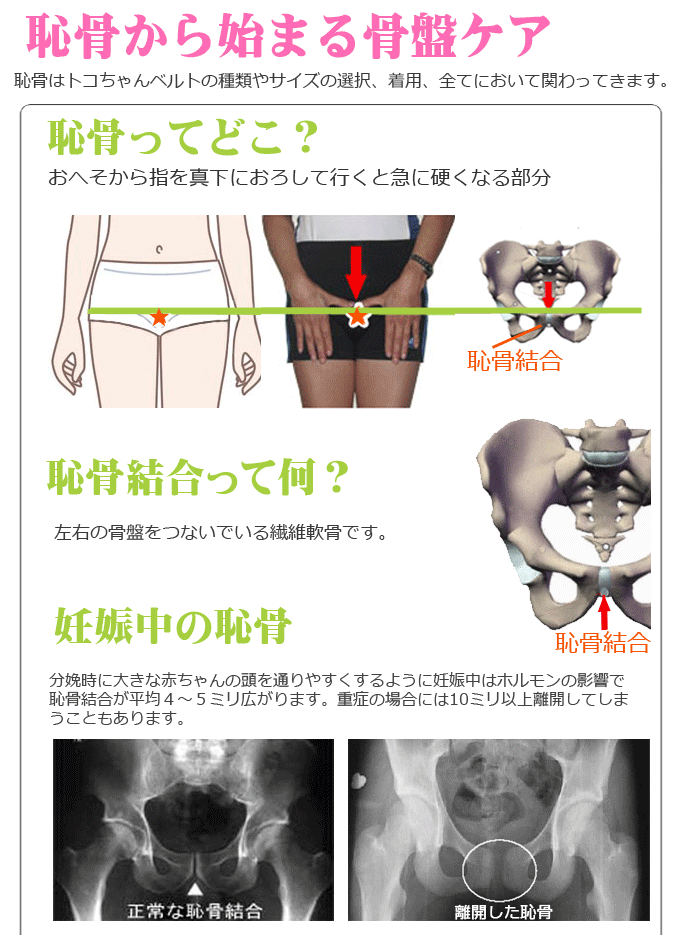 トコちゃんベルト